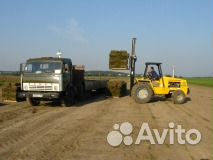 Рулонный газон от производителя с доставкой