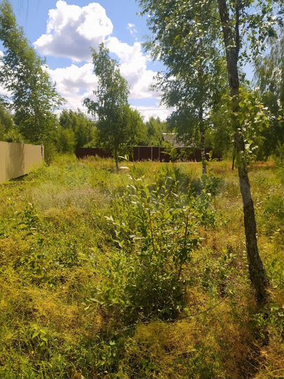 Участок 24 сот. (СНТ, ДНП)