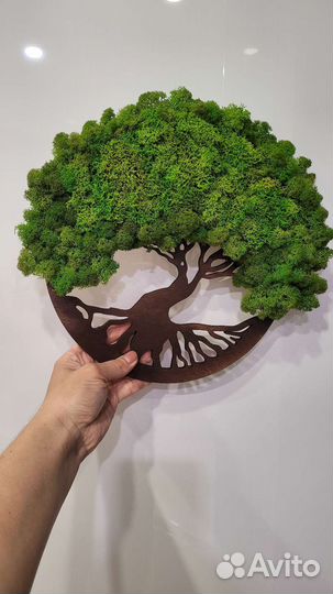 Стабилизированные растения