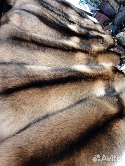 Шкурки енотовидной собаки, натуральный мех