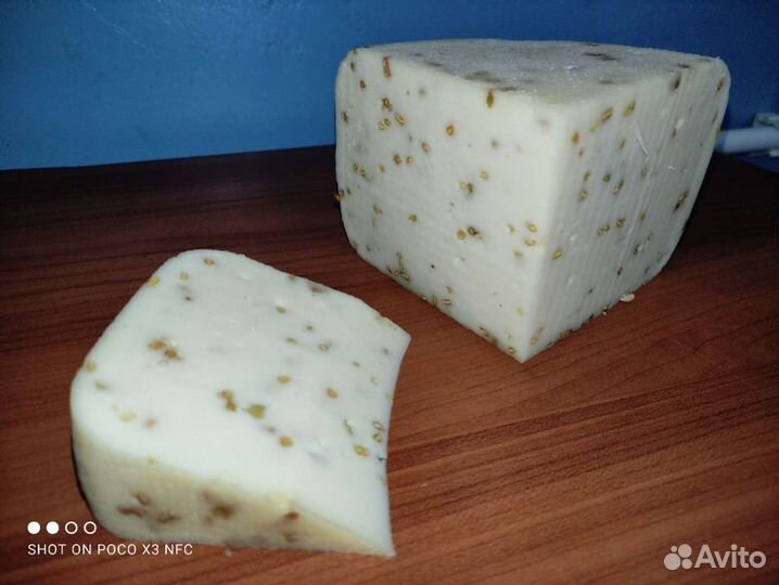 Сыр Качотта домашняя