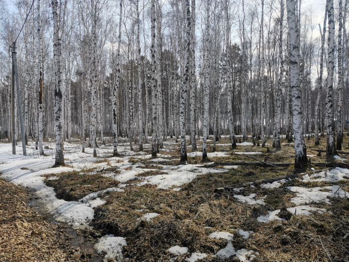 Участок 10 сот. (СНТ, ДНП)