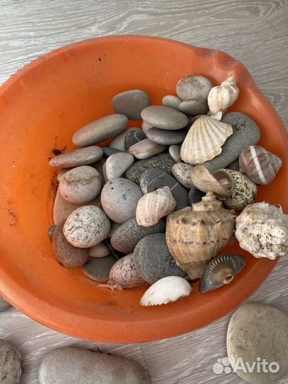 Камни для ландшафтного дизайна