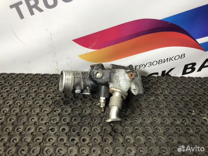 51094113645 Патрубок интеркулера Man TGA