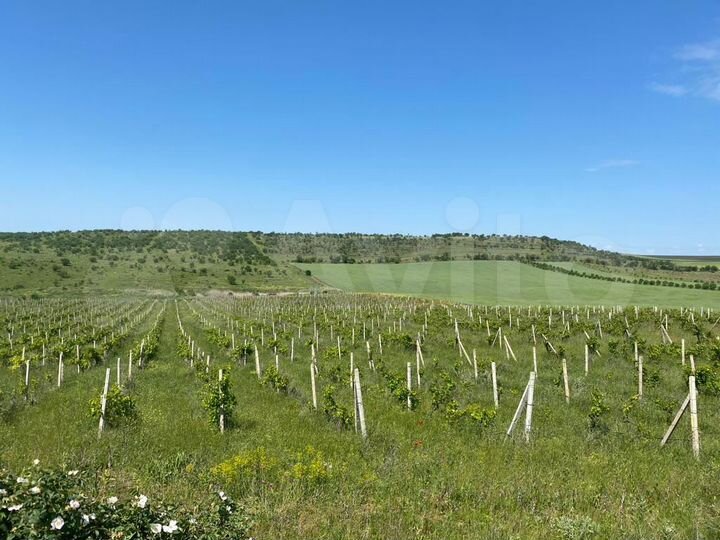 Участок 4,48 га (СНТ, ДНП)