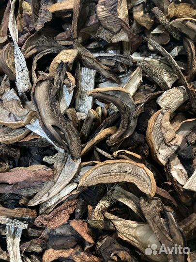 Сухие грибы