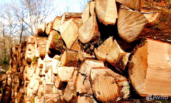 Подсушенные дрова