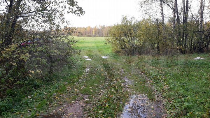 Участок 4,19 га (СНТ, ДНП)