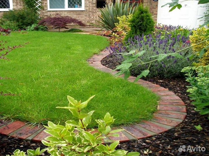 Укладка рулонных газонов под ключ