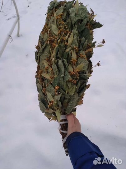 Веники банные