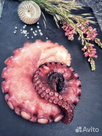 Осьминог свежемороженный / доставка на дом