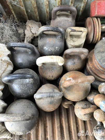 Гантели, гири, штанги