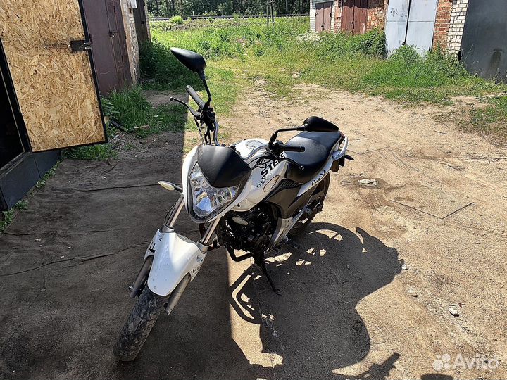 Stels flex 250