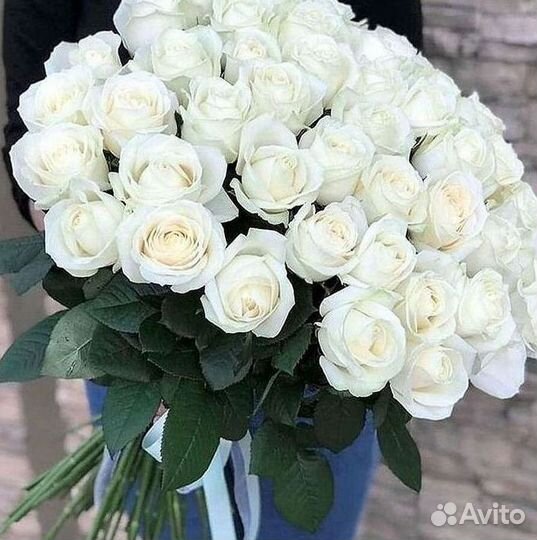 101 роза цветы букеты доставка 25 51 101 роза