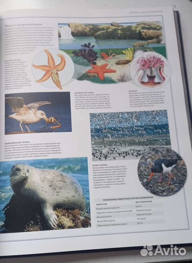 Энциклопедия-Атлас Животные и Мир