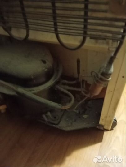 Морозильная камера Саратов 117