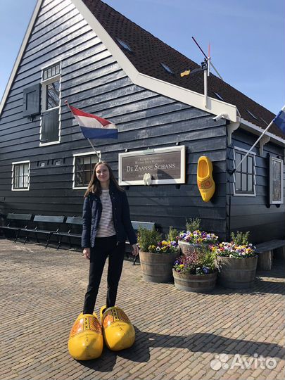 Репетитор по английскому и нидерландскому языкам