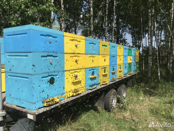 Пасека,пчелы,улья,прицеп