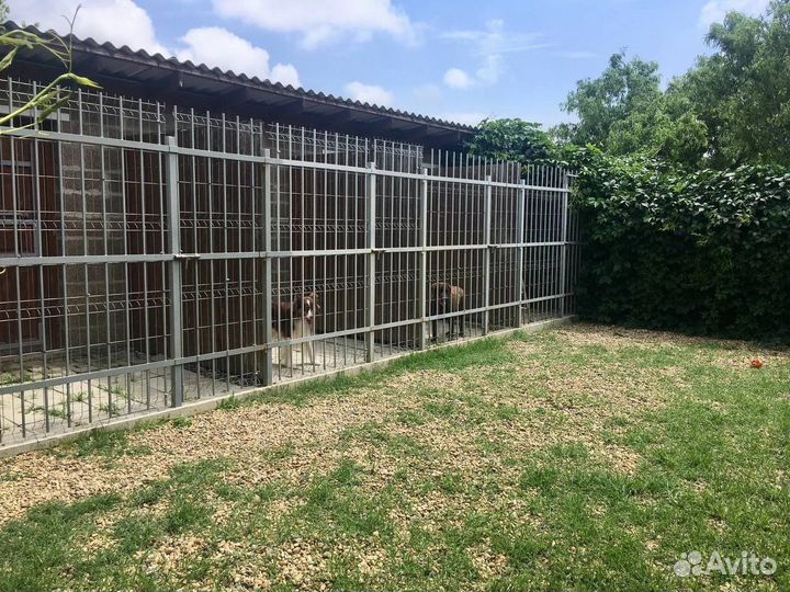 Гостиница для собак DogRancho