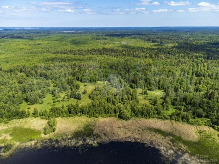 Участок 16,5 сот. (ИЖС)