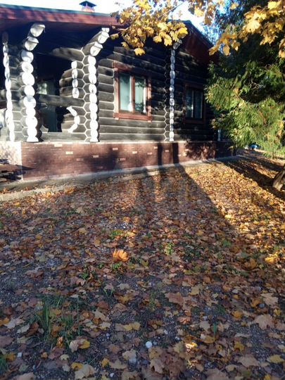 Дом 230 м² на участке 50 сот.