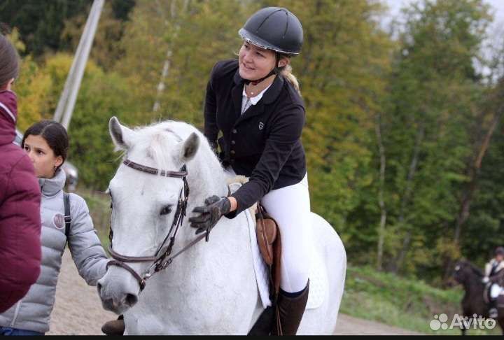 Орловский мерин