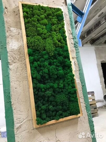 Панно из стабилизированного мха