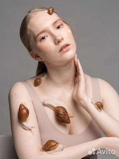 Улитки архахатины