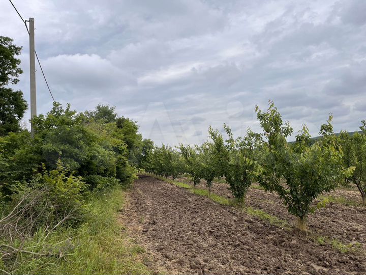 Участок 5,5 га (СНТ, ДНП)