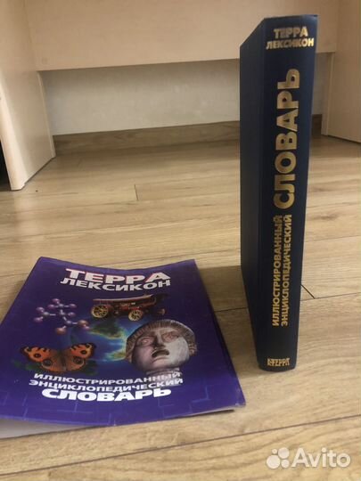 Терра Лексикон Словарь с иллюстрациями