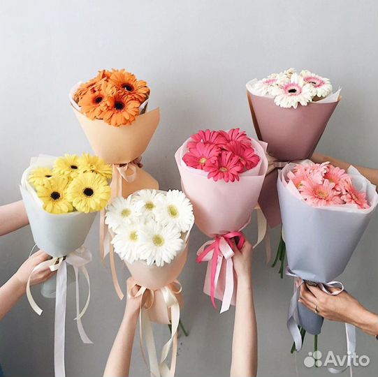 Герберы. Доставка Цветов. Букеты из Гербер