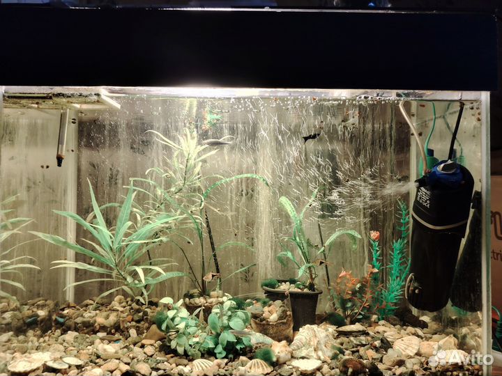 Аквариум