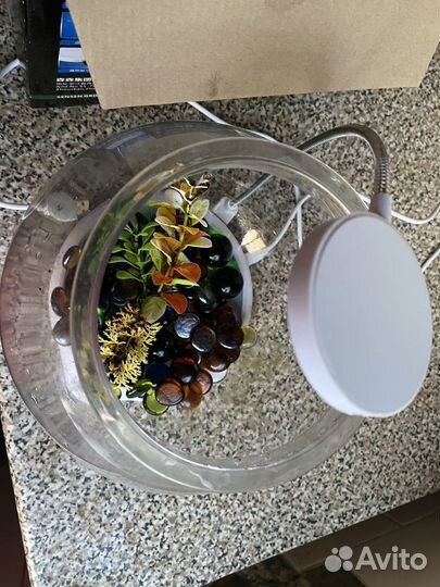 Продам два аквариума