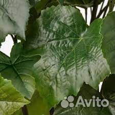 Fejka фейка Искусственное растение в горшке икеа