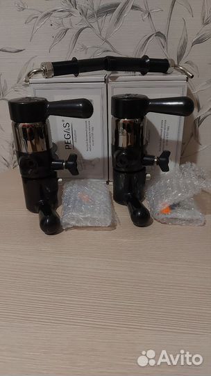 Пегас. Pegas Evolution