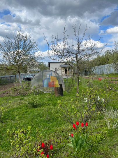 Дача 20 м² на участке 11 сот.