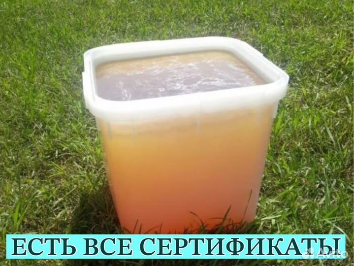 Мёд оптом с Алтая в Мытищах