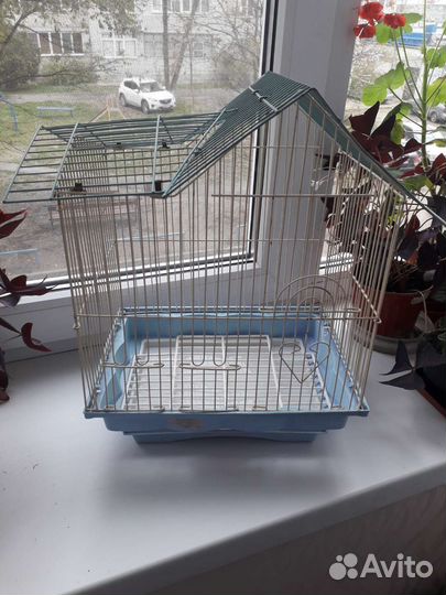 Клетка для попугая