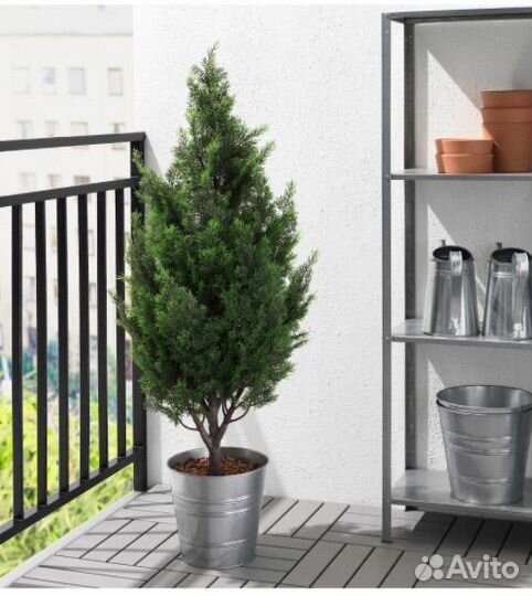 Фейка туя кипарис икеа