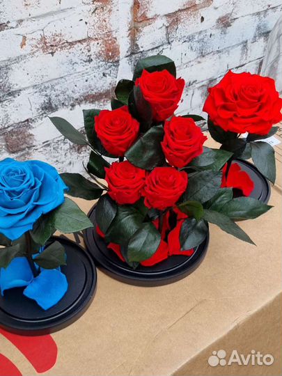 Роза в колбе оптом и в розницу