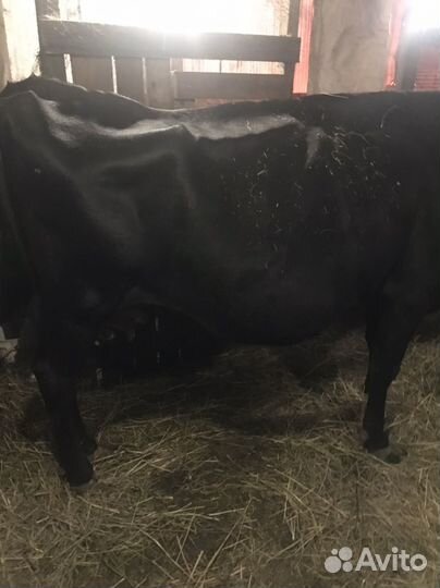 Подсобное личное хозяйство