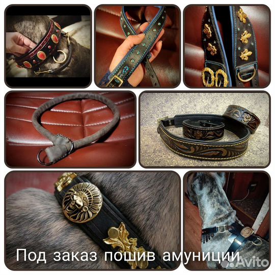 Ошейник для собак