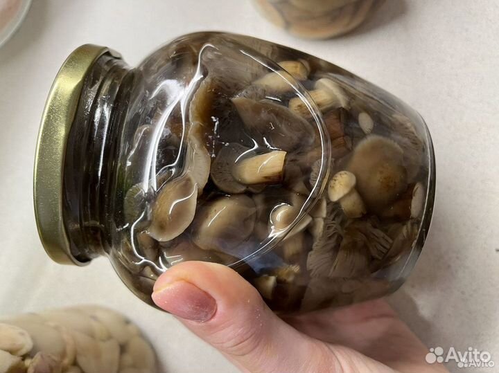 Грибы маринованные, соленые