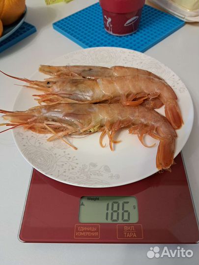 Лангустины L1. Креветка крупная