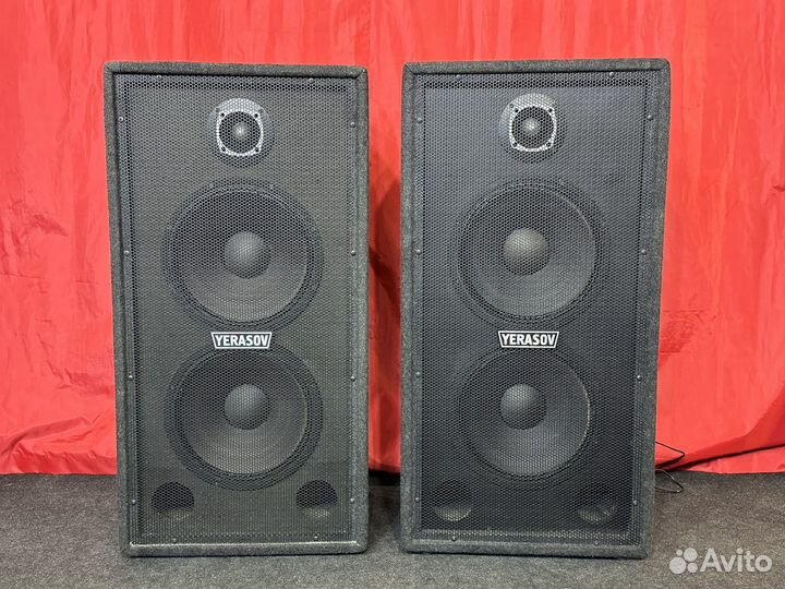 Концертные активные колонки Yerasov Ar 300