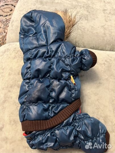 Одежда для маленьких собак