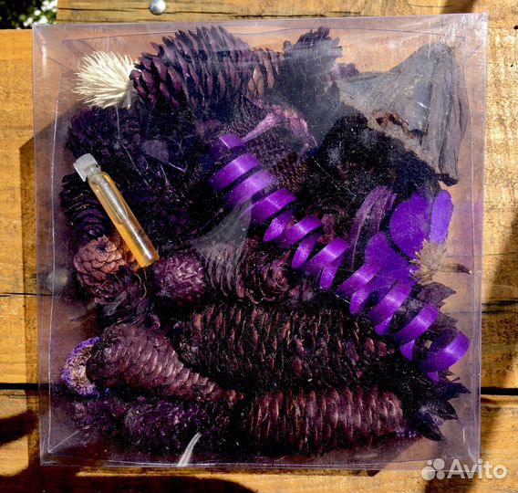 Сухоцветы для творчества