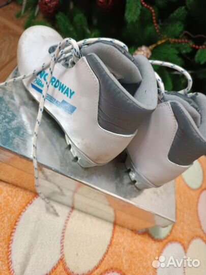 Лыжные ботинки