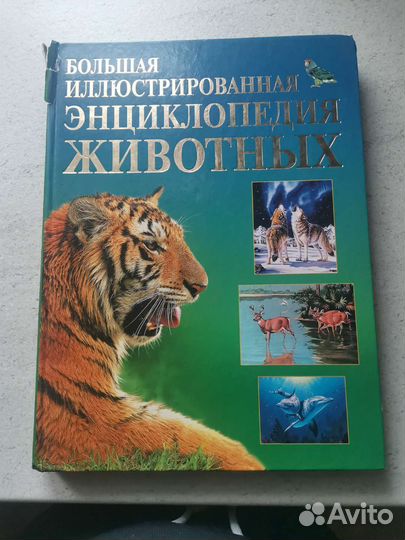 Детская энциклопедия