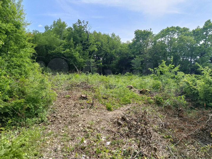 Участок 9 сот. (ИЖС)